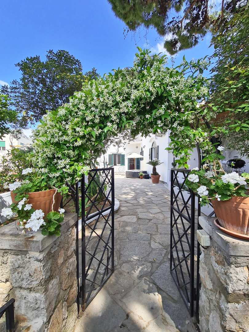 Villa le Terrazze in Capri